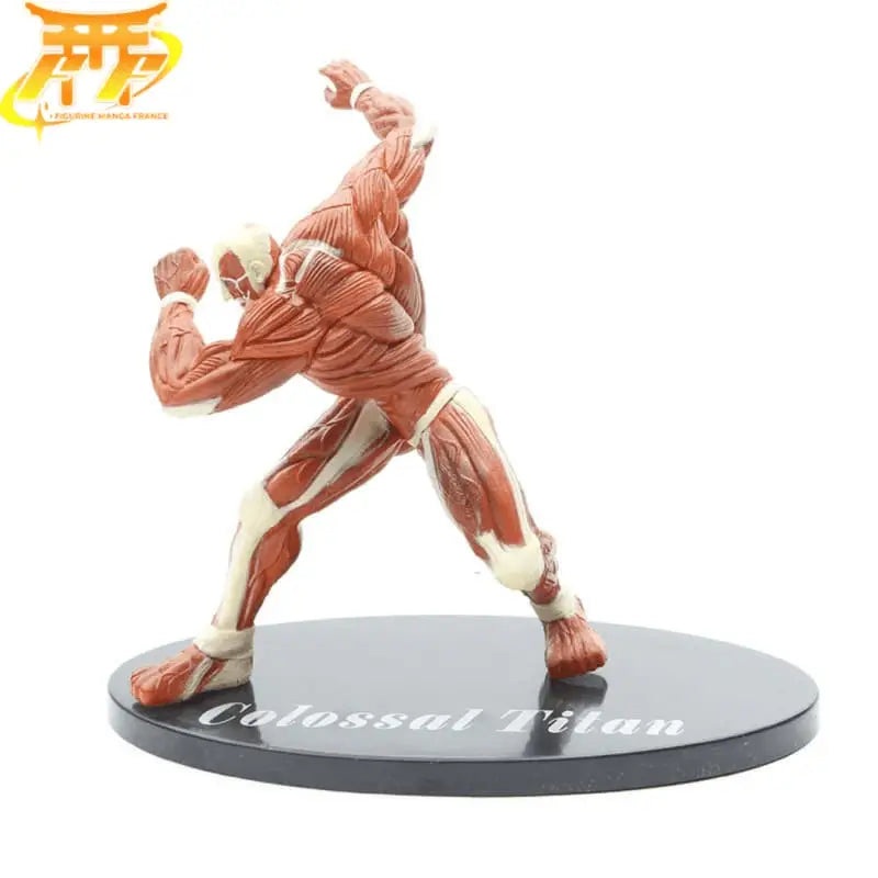 Colossal Titan Figure – Attack on Titan