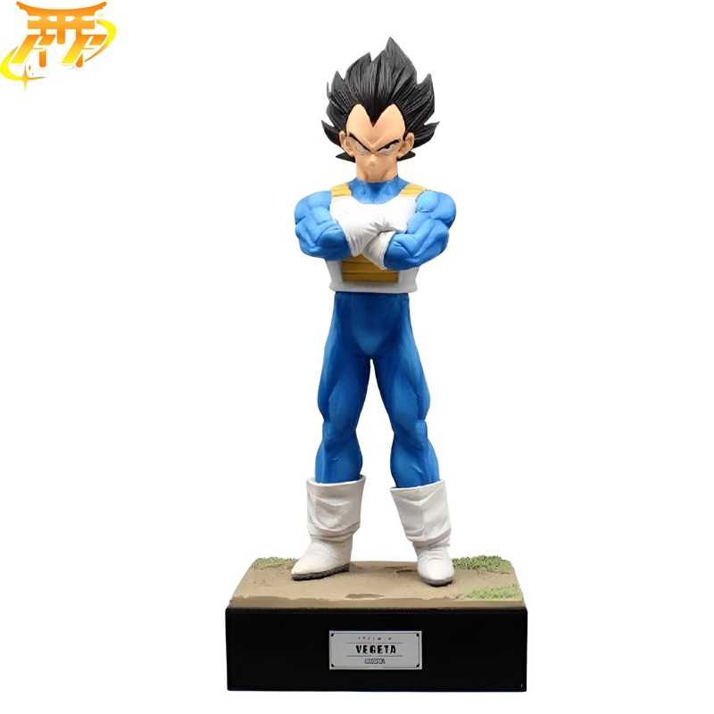 Prince Vegeta Figure – Dragon Ball Z
