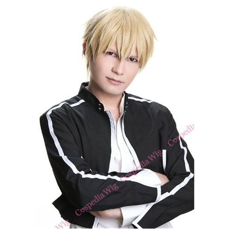“Fate/stay night” Gilgamesh style cosplay wig