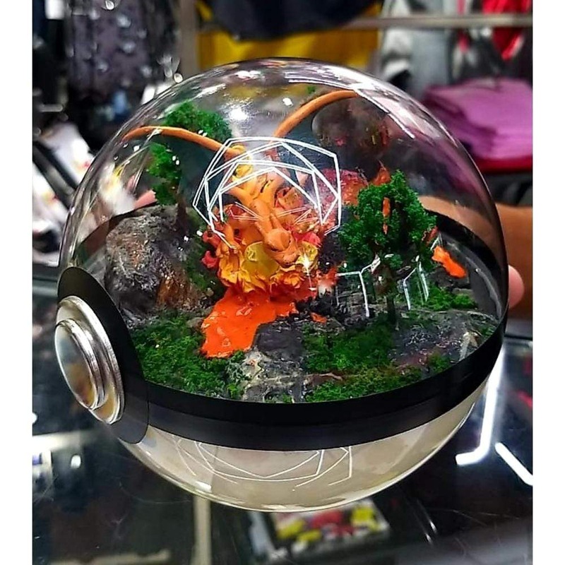 Pokemon Terraruim-Charizard