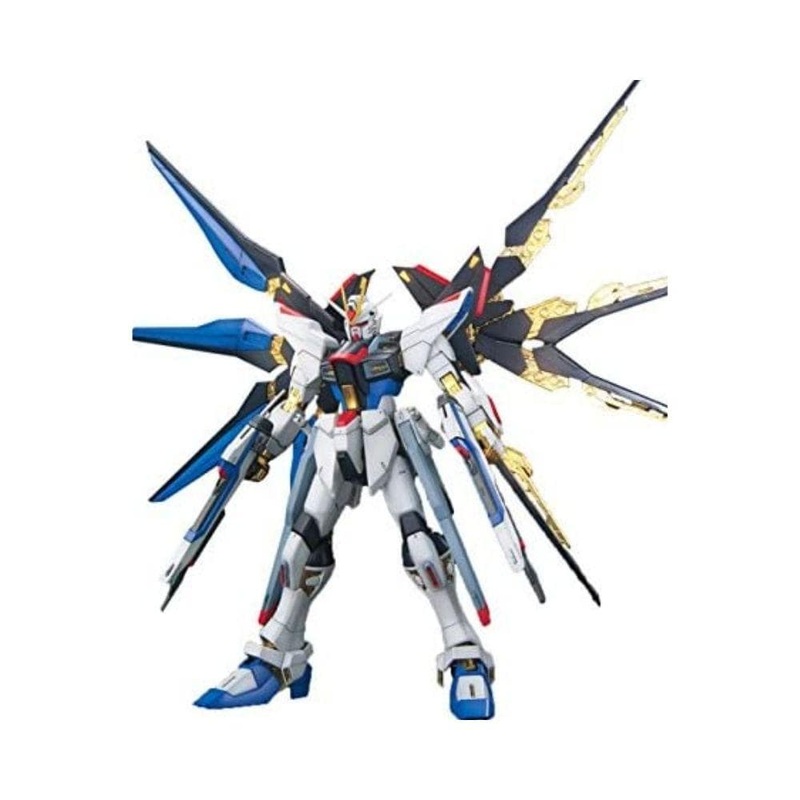 1/100 MG Special Strike Freedom Gundam Full Burst Mode